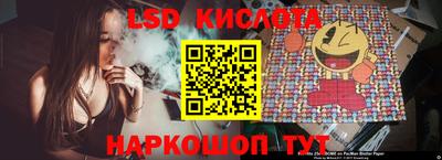 дмт Кандалакша