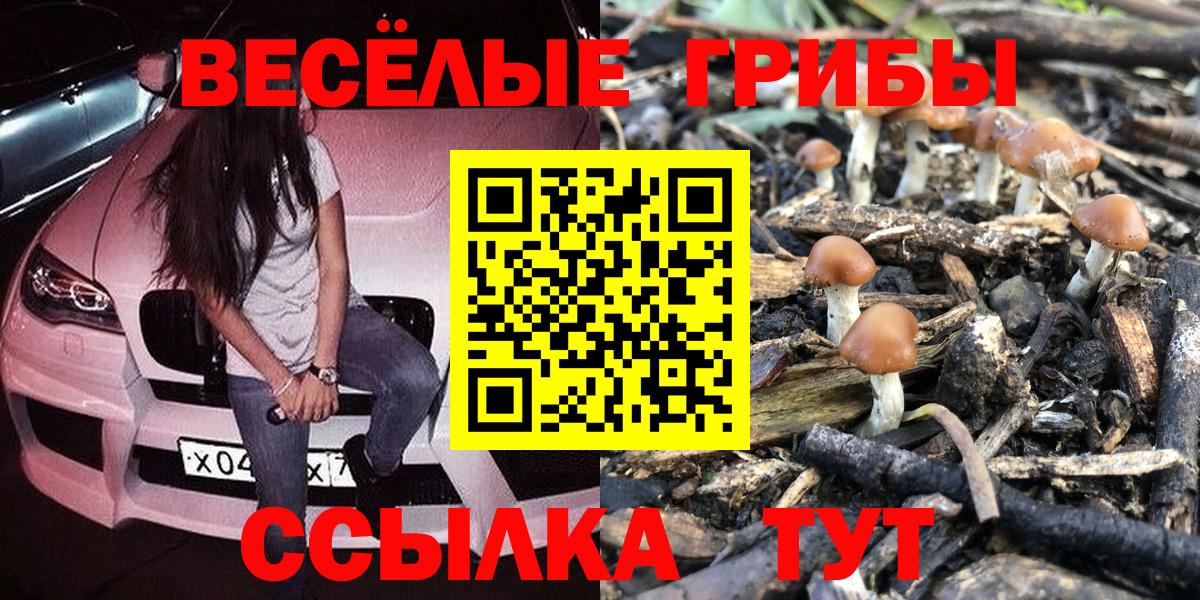 Галлюциногенные грибы Cubensis  сколько стоит  Лесозаводск  Вход с VPN  Галлюциногенные грибы Psilocybine cubensis 