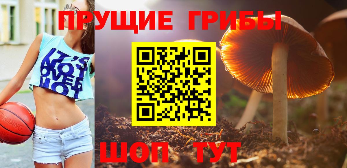 Галлюциногенные грибы мицелий Лесозаводск